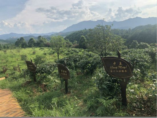 guizhou